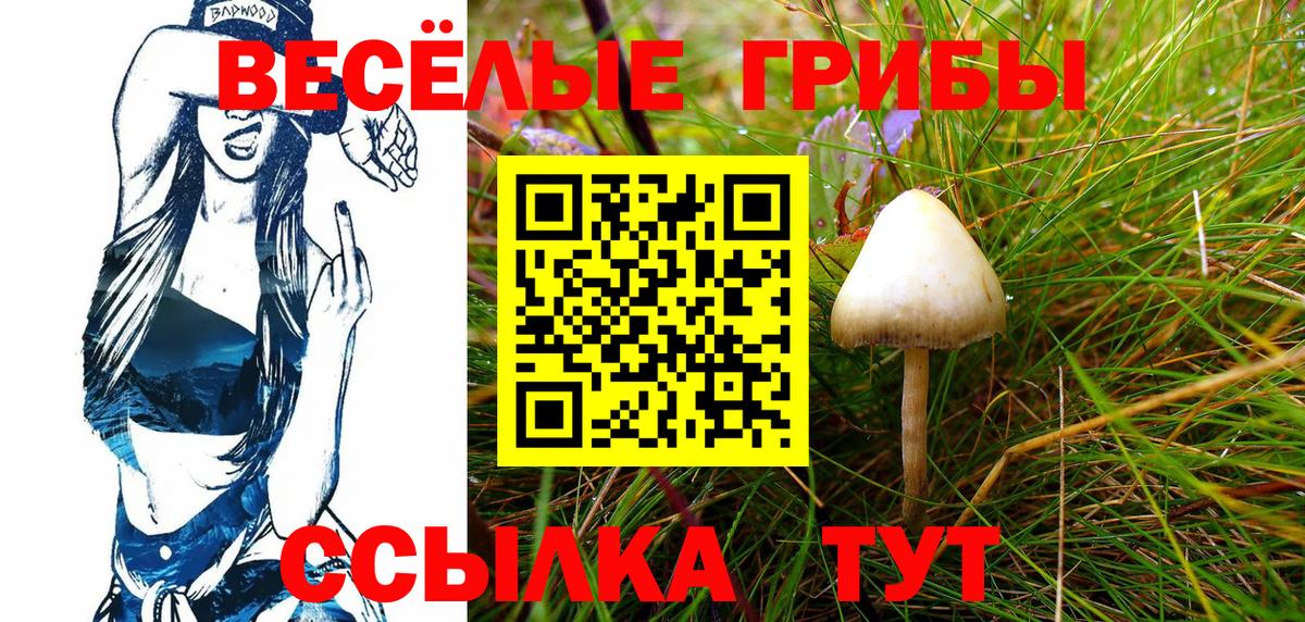 Зима  Галлюциногенные грибы Cubensis  Вход с VPN 